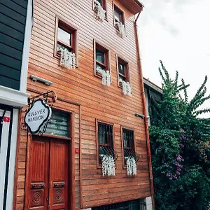 Hotel Gulliver Mansion, Istambul